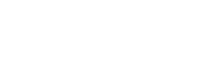 Zokaai Logo